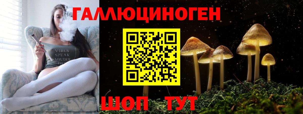 хочу наркоту  Псилоцибиновые грибы Psilocybine cubensis  Кострома  Вход с VPN  Псилоцибиновые грибы Cubensis 